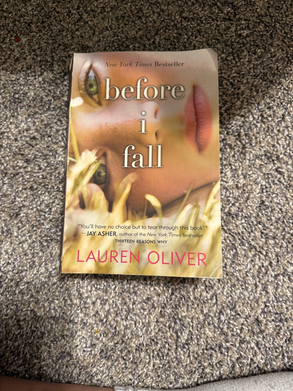 Before I fall Lauren Oliver